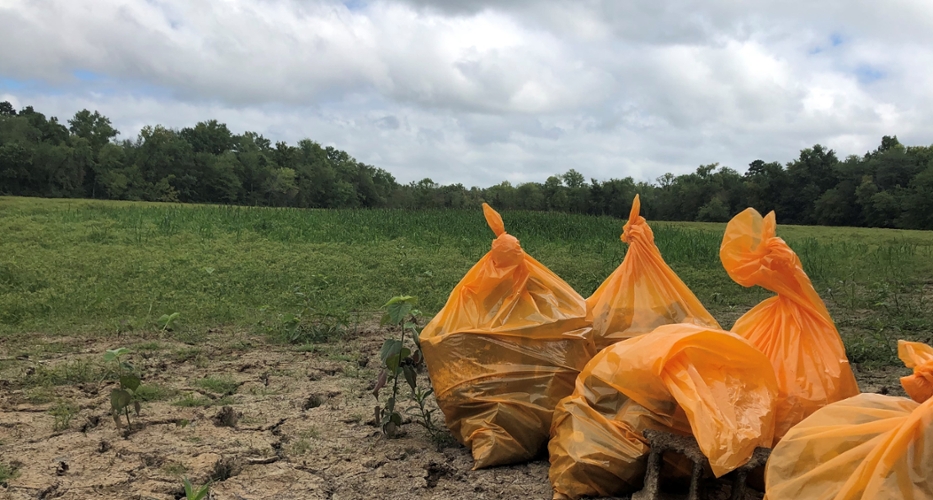 Orange trash bags filled with litter at Crab Orchard Lake